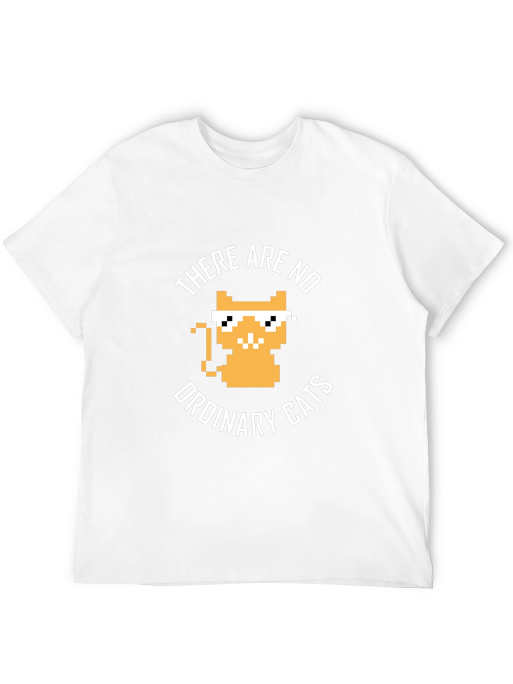 There are no ordinary cats t-shirt