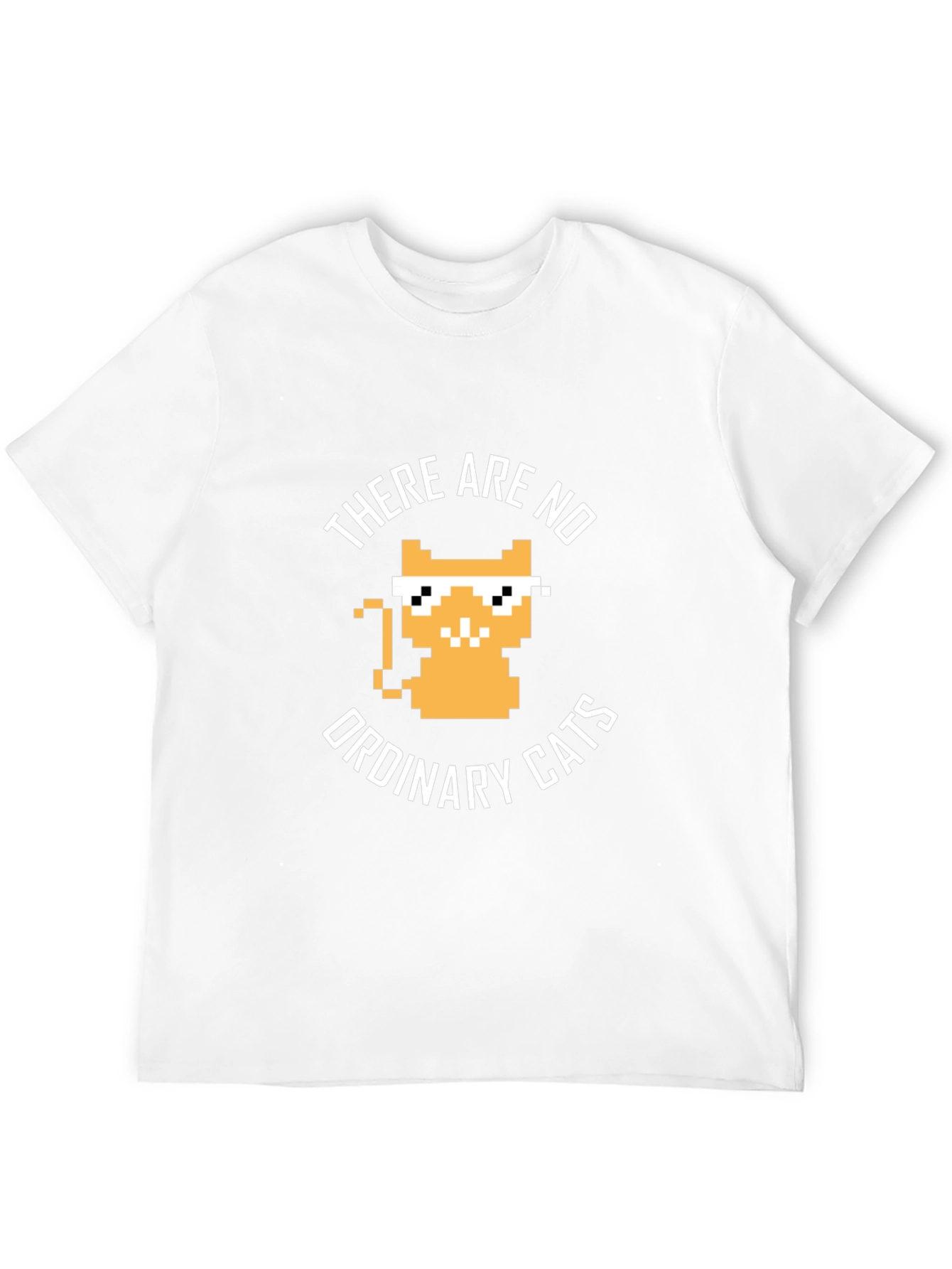 There are no ordinary cats t-shirt