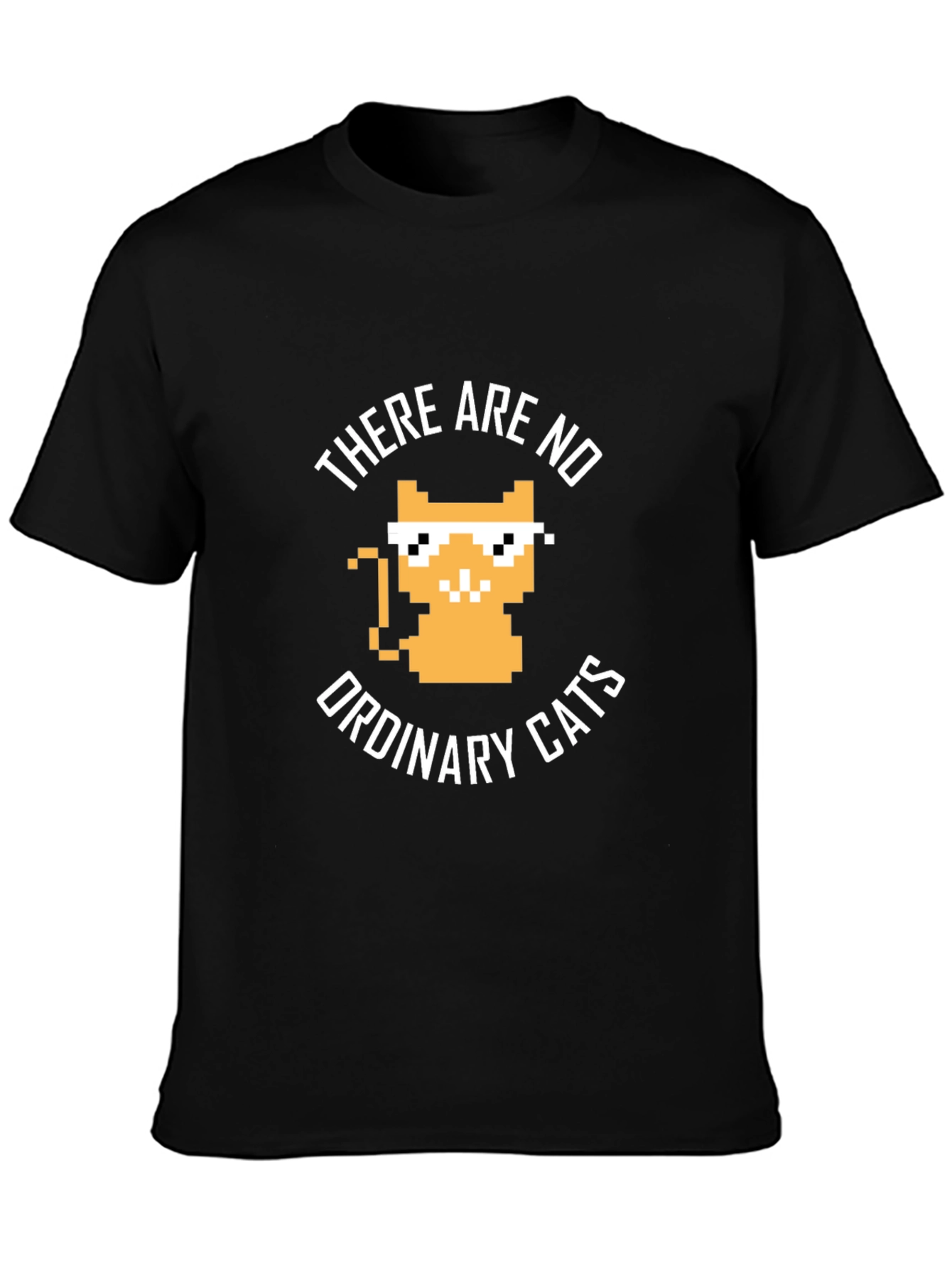 There are no ordinary cats t-shirt