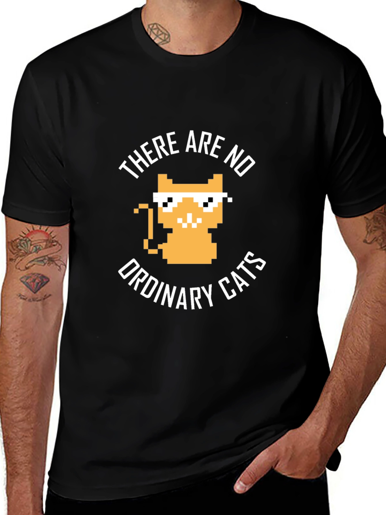 There are no ordinary cats t-shirt