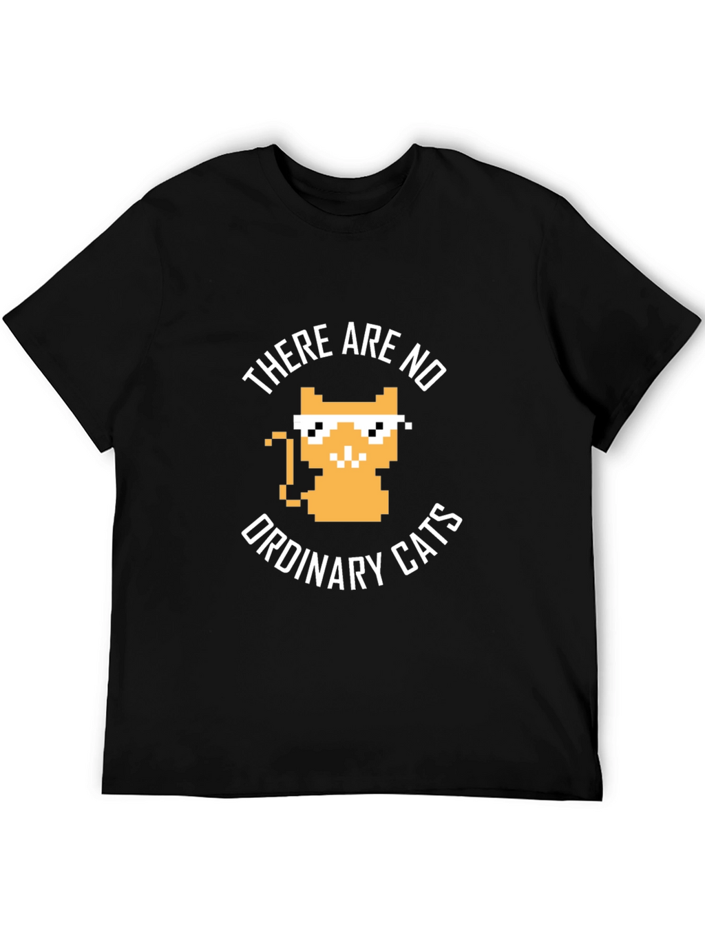 There are no ordinary cats t-shirt