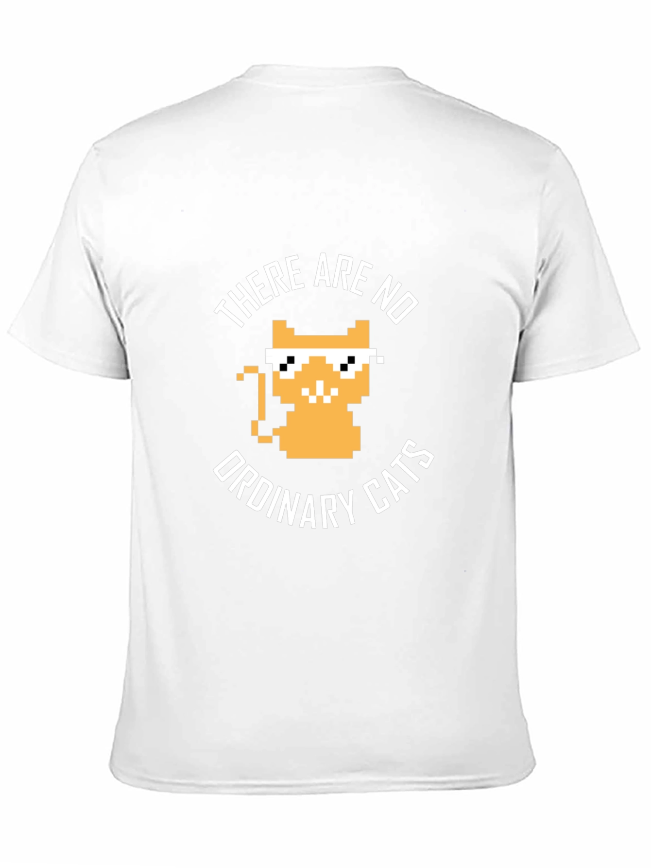 There are no ordinary cats t-shirt