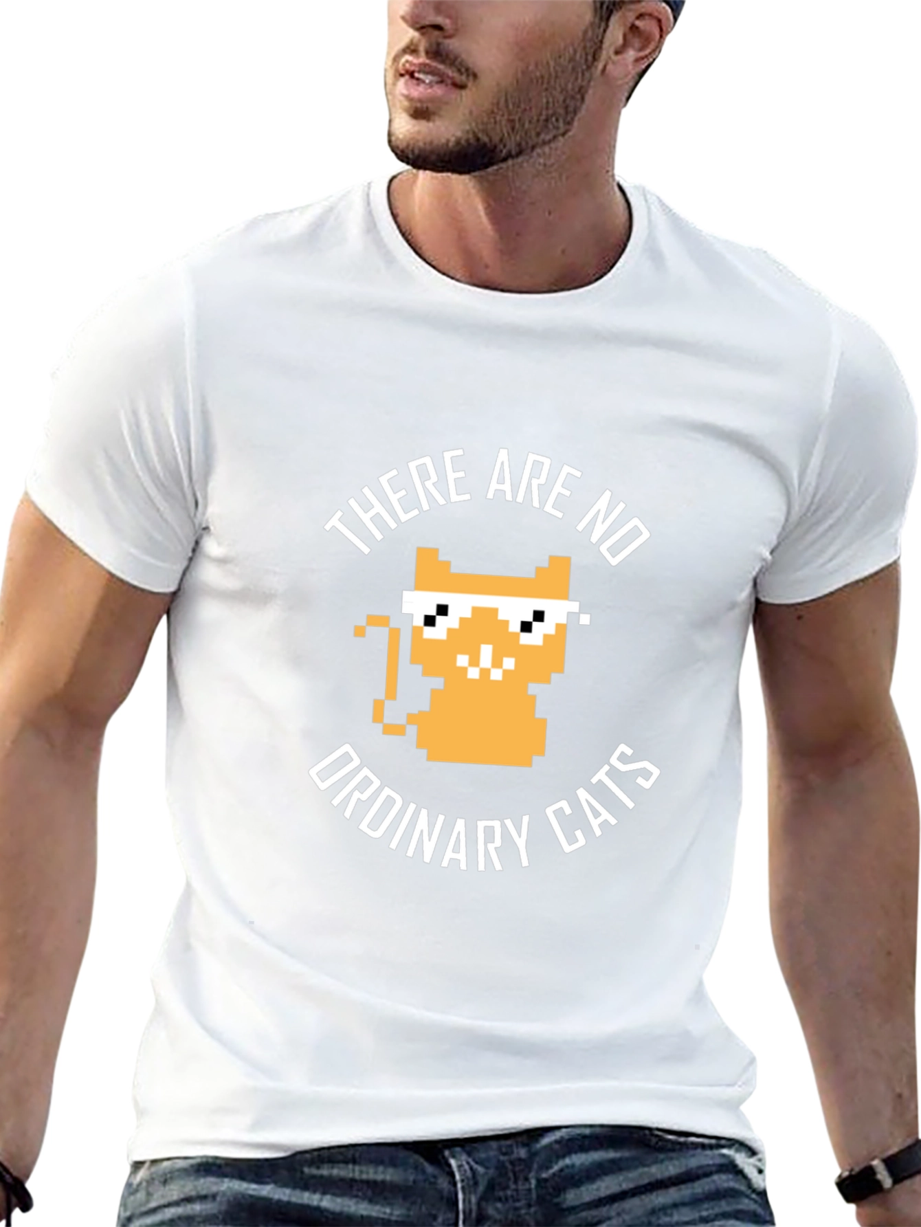 There are no ordinary cats t-shirt