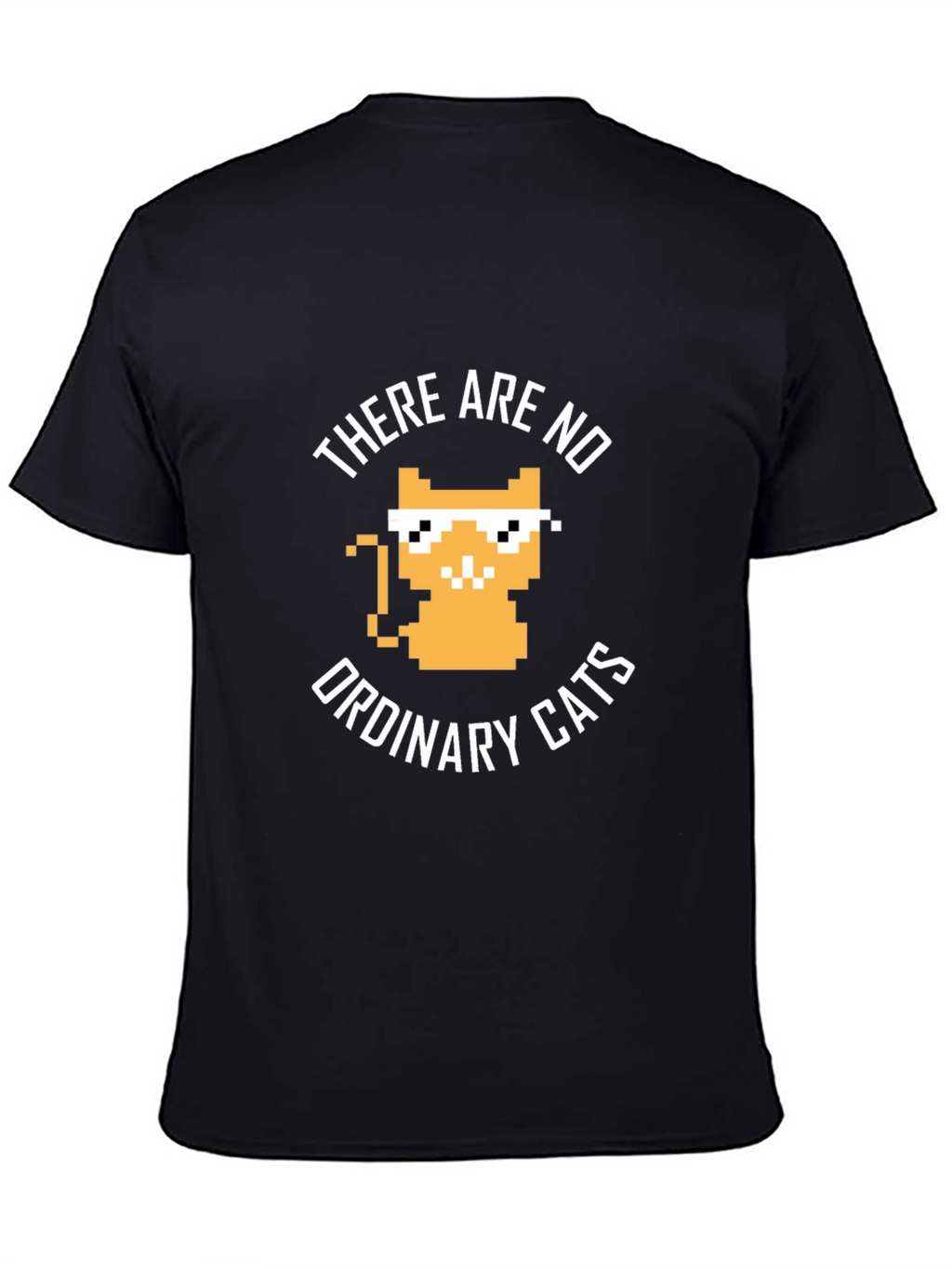 There are no ordinary cats t-shirt