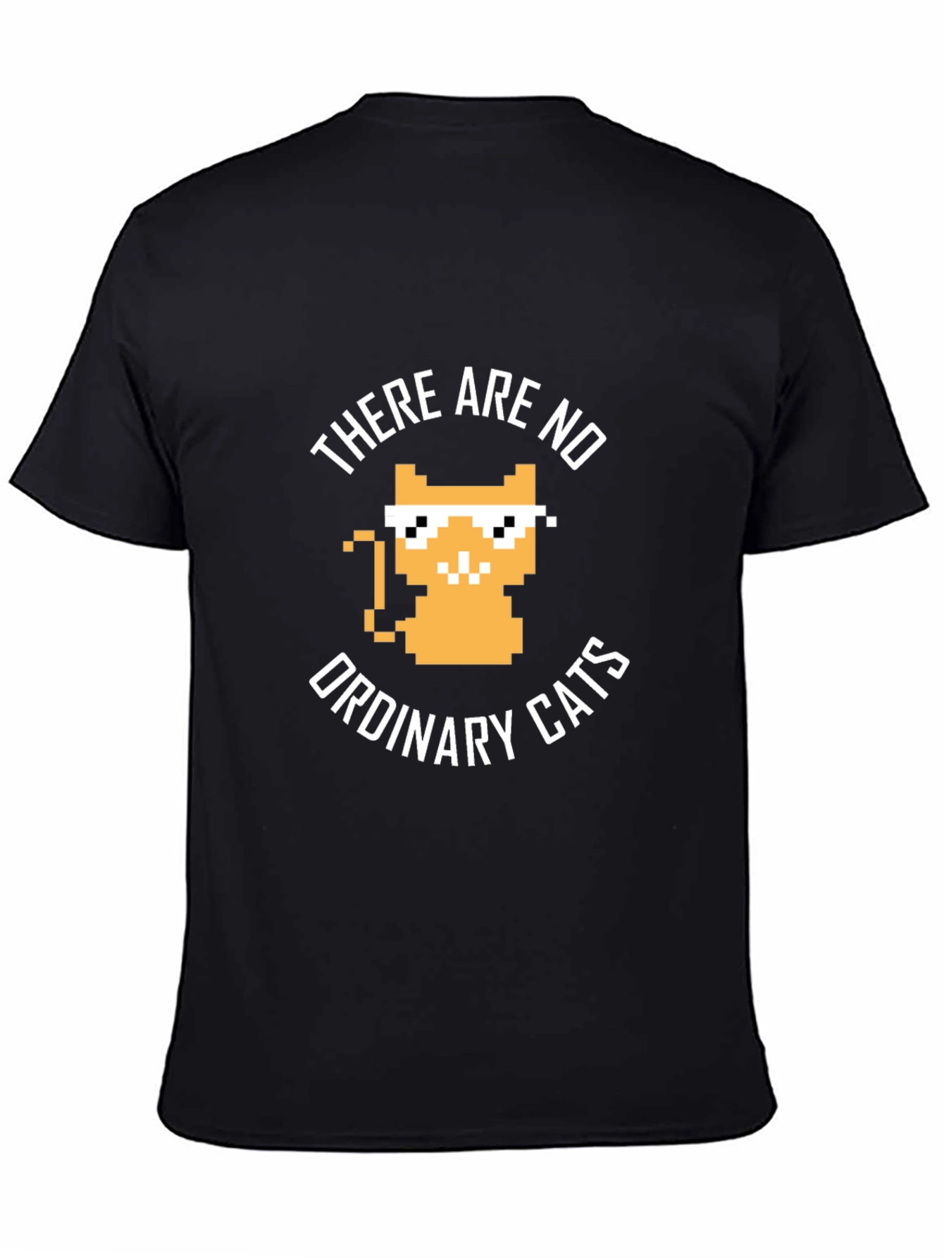 There are no ordinary cats t-shirt
