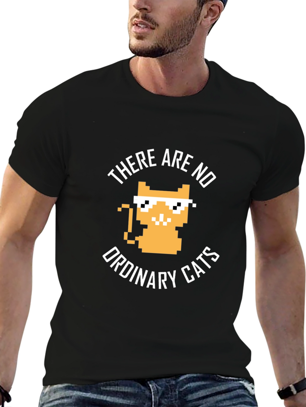 There are no ordinary cats t-shirt