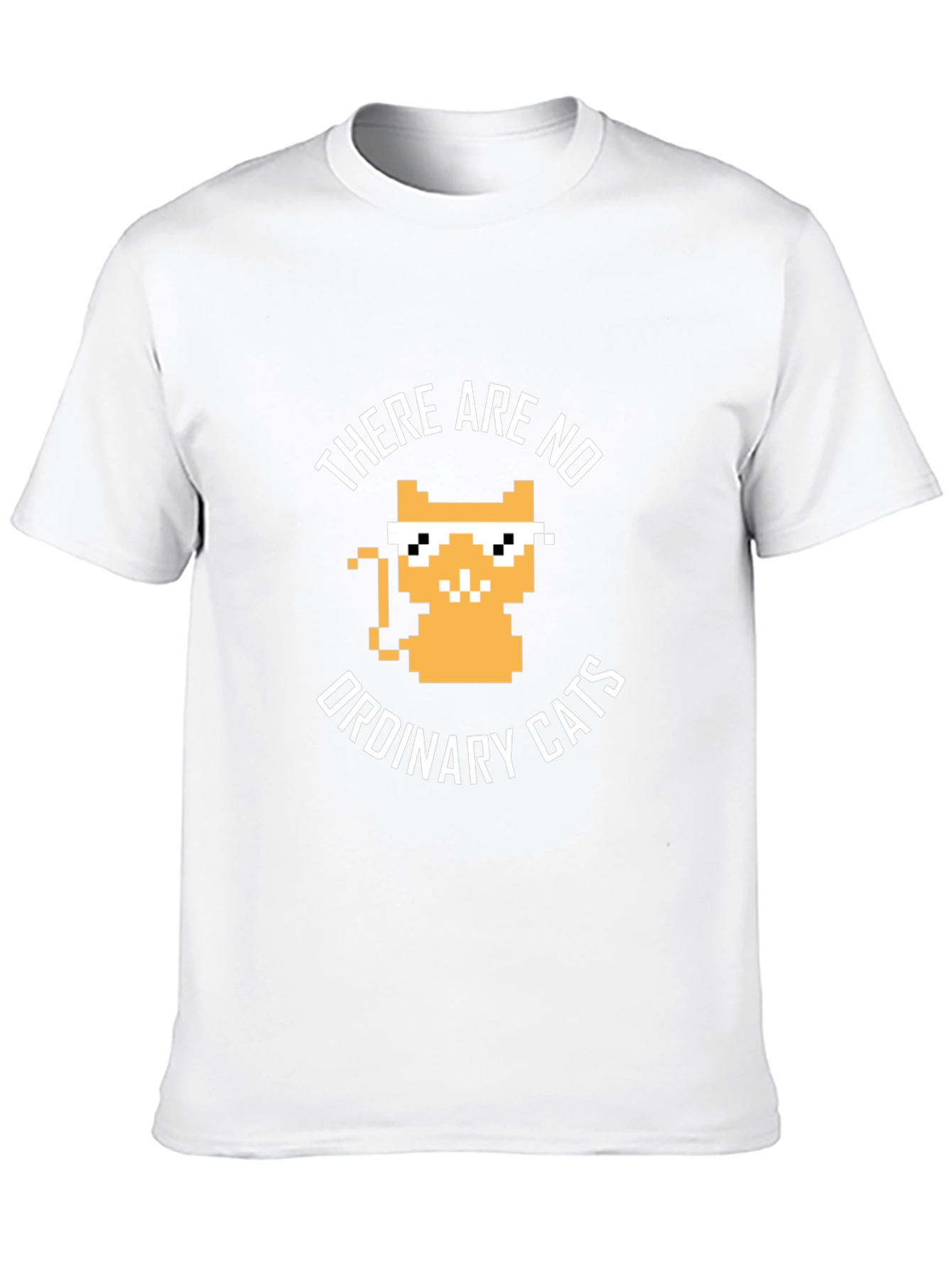 There are no ordinary cats t-shirt