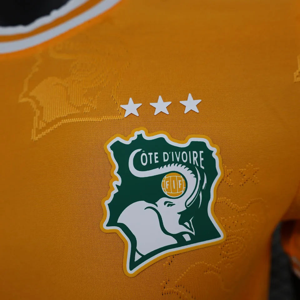 2025 Ivory Coast Special Edition Orange Player Version Jersey Detail 3