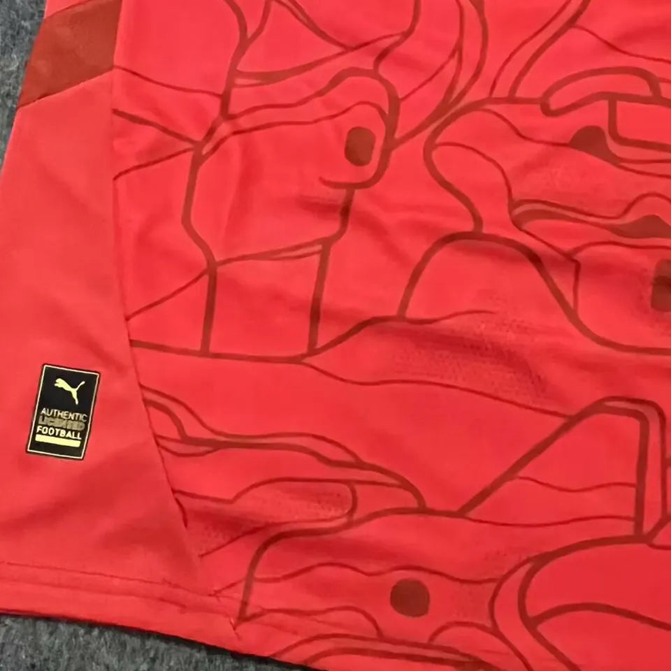 2024/25 Austria Home Red Fans Soccer Jersey Detail 3