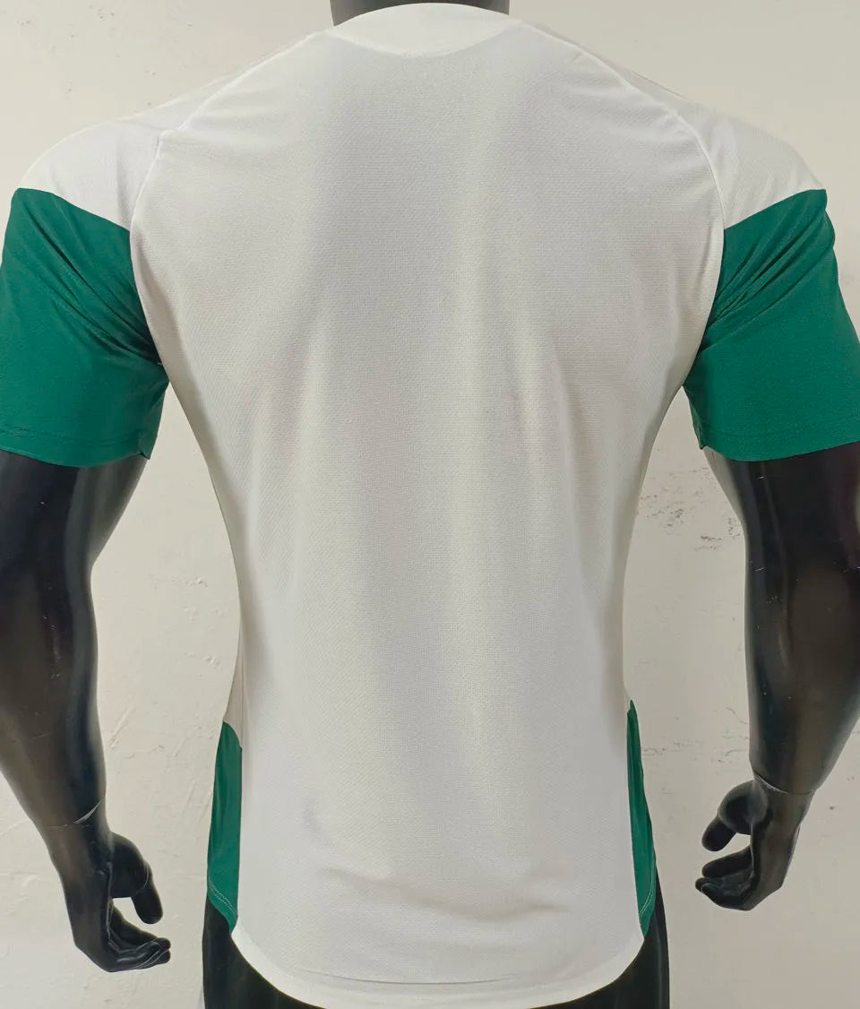 2026/27 Italy Special Edition White Player Version Soccer Jersey Back