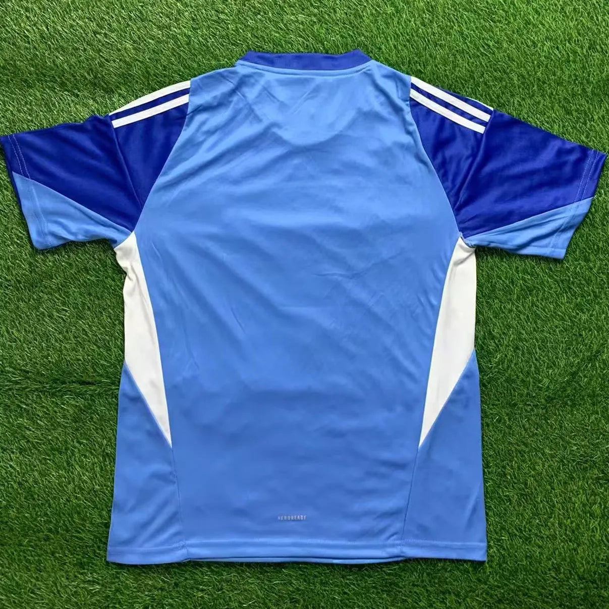 2025/26 Venezuela Blue GK Fans Soccer Jersey Back