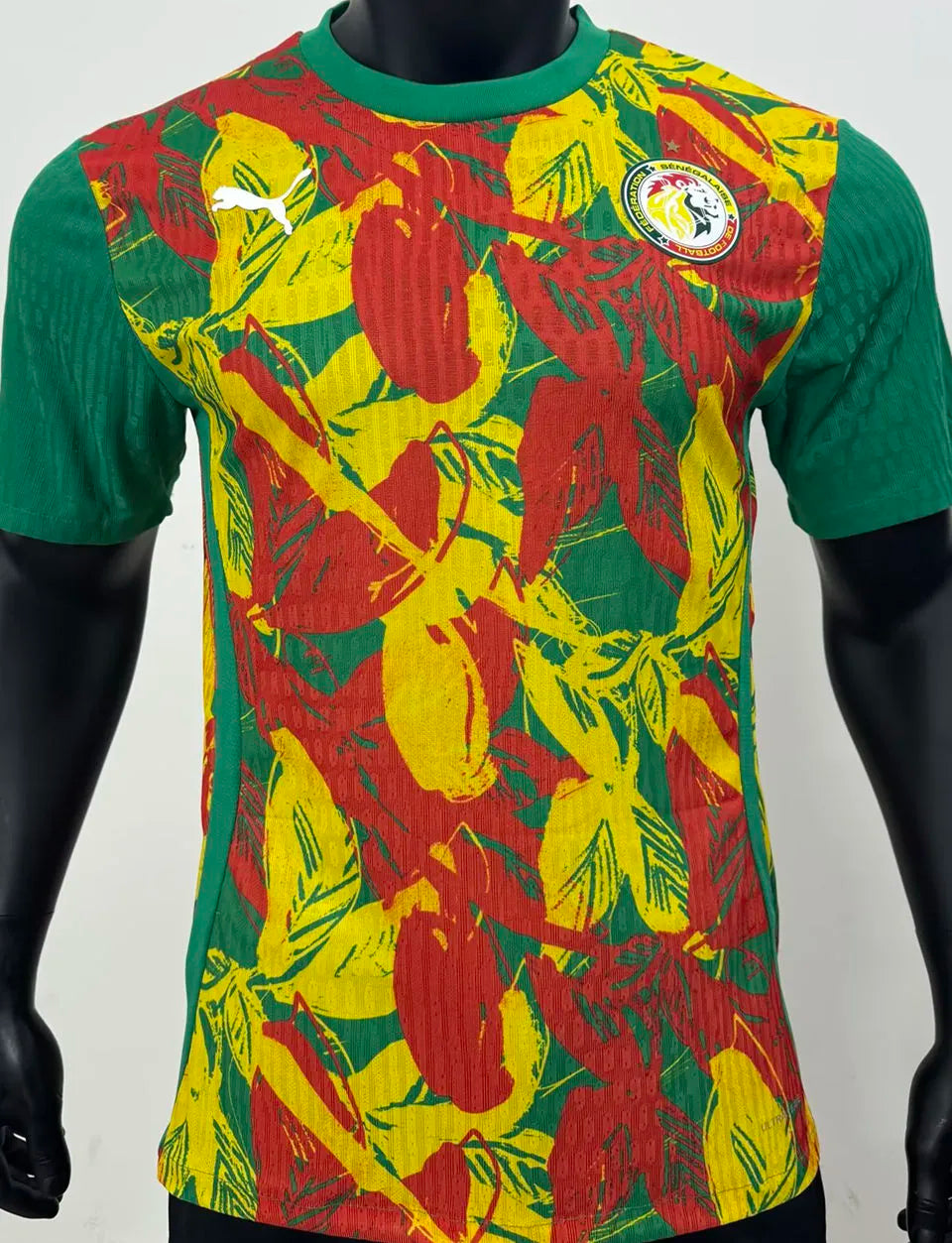 2025 Senegal Away Green Fans Soccer Jersey Detail 3