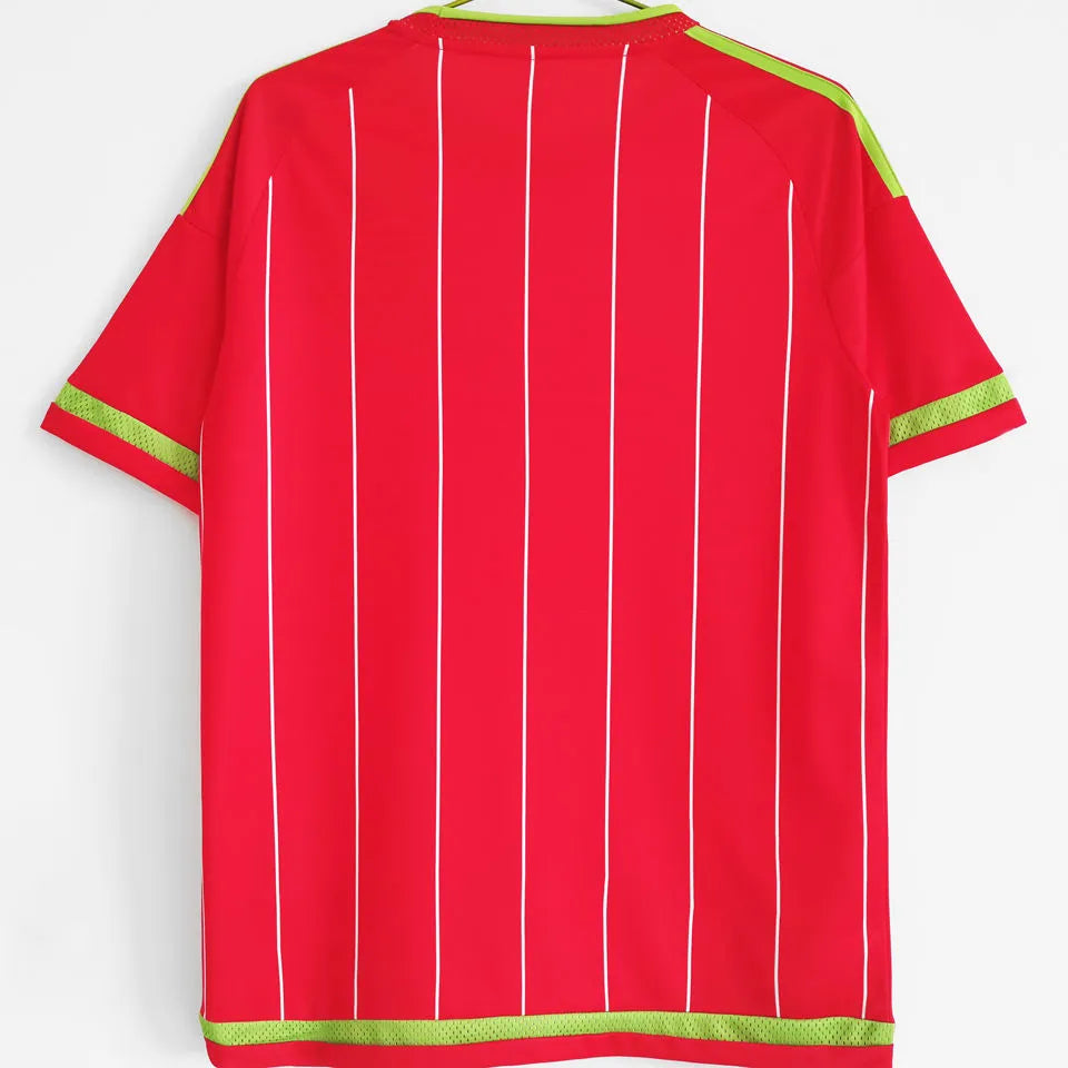 2015/16 Wales Home Red Retro Soccer Jersey Back