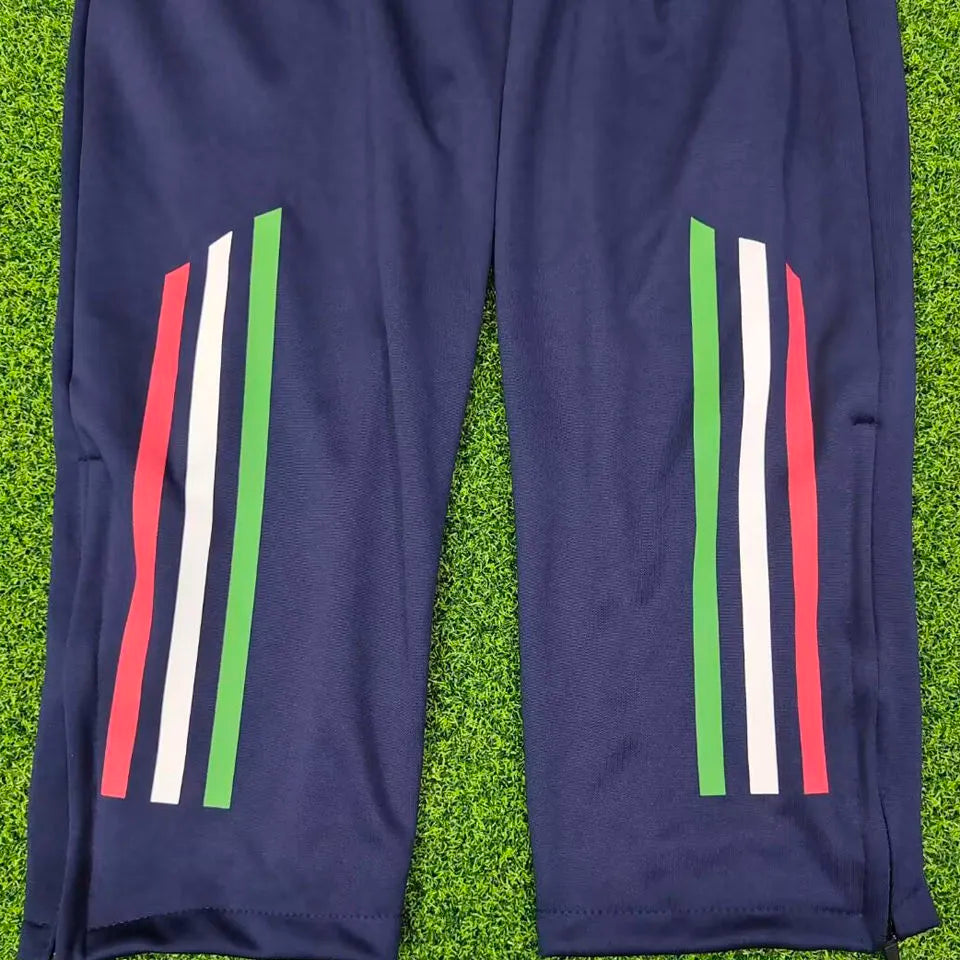 2024/25 Italy Sapphire Blue Sports Trousers Detail 2