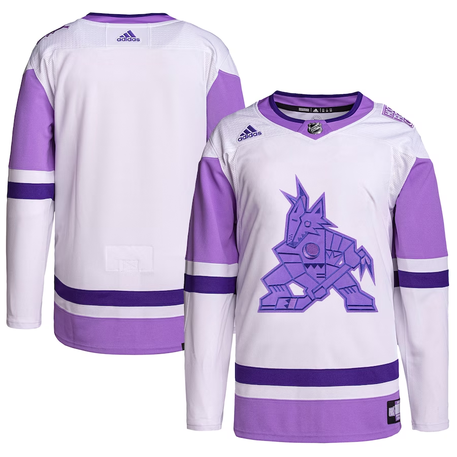 Men's Arizona Coyotes White/Purple Hockey Fights Cancer Primegreen Authentic Blank Practice Jerseys