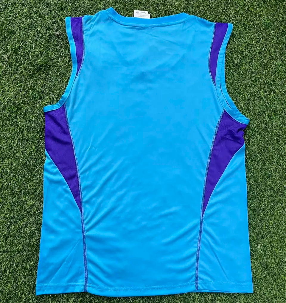 2023 Argentina Blue 3 Stars Vest Jersey 3星 Back