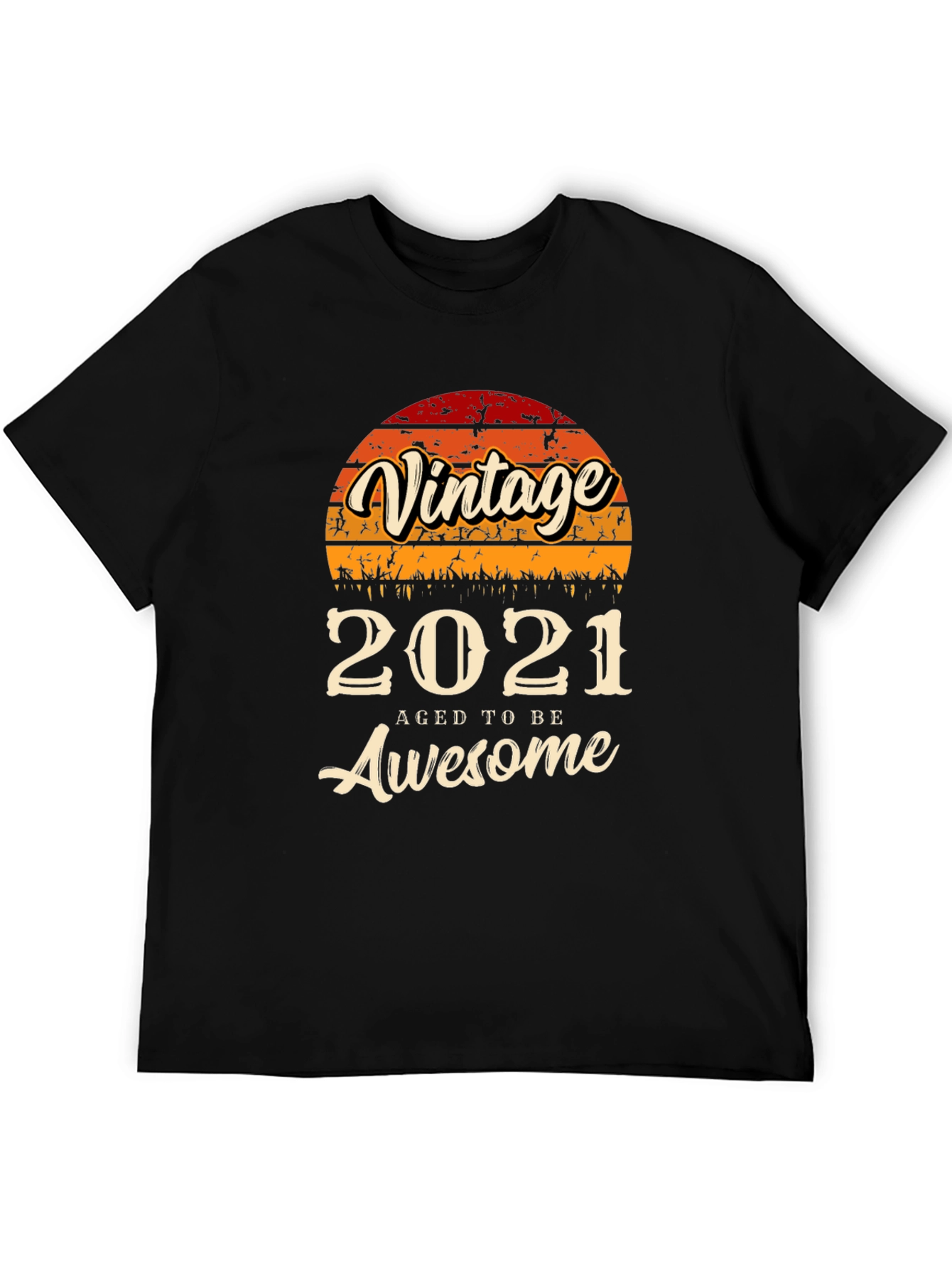 Vintage 2021 Aged To Be Awesome Graphic Tee