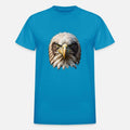 Bald Eagle's Gaze: A Glimpse into the Power of Nat
