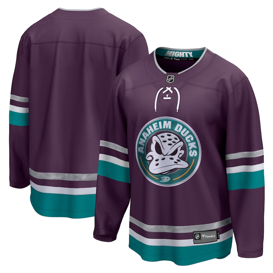 Men's Anaheim Ducks Purple 30th Anniversary Premier Breakaway Blank Jerseys