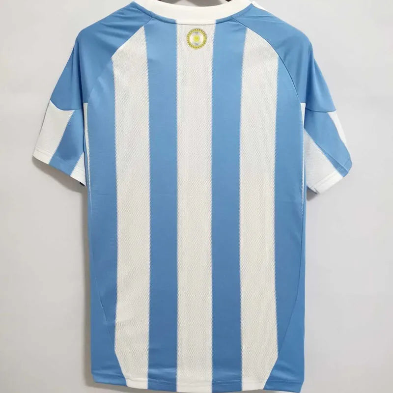 2010 Argentina Home Retro Retro Soccer Jersey Back