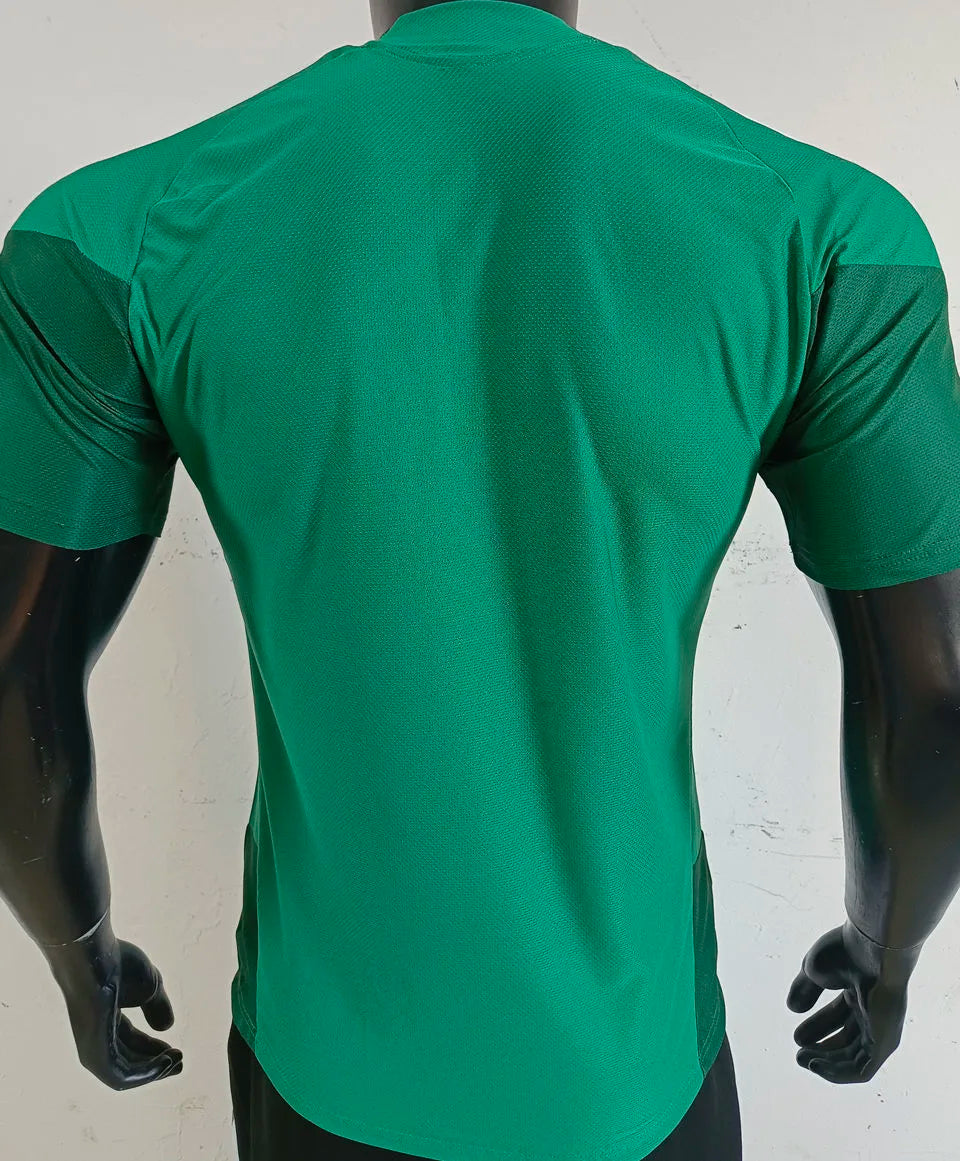 2026/27 Mexico Special Edition Green Player Version Soccer Jersey Back