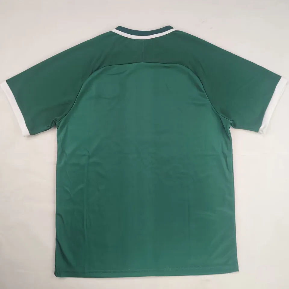 2026 FC Palestine Retro Fans Soccer Jersey Back