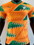 2024 Ivory Coast Special Edition Orange Player Version Jersey Front