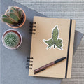 cannabis drugs smoking weed finger middle finger