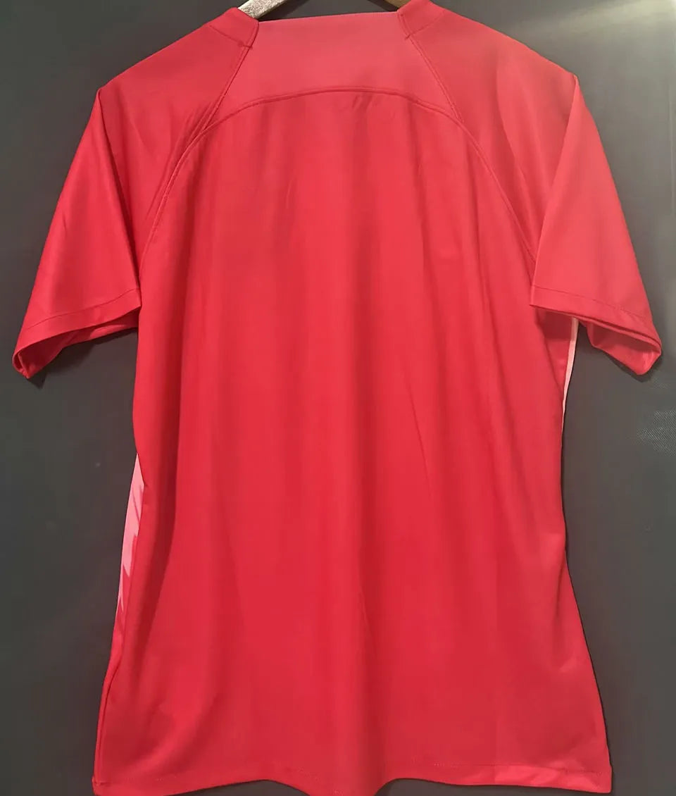 2024/25 NL Concept Version Red Fans Soccer Jersey Back