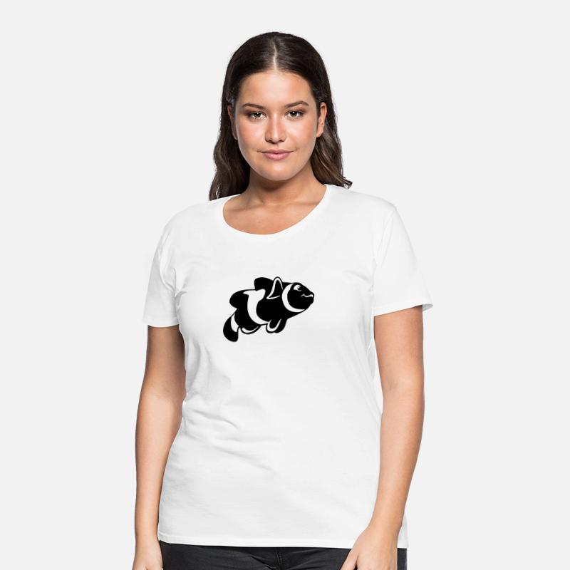 Clown fish animal