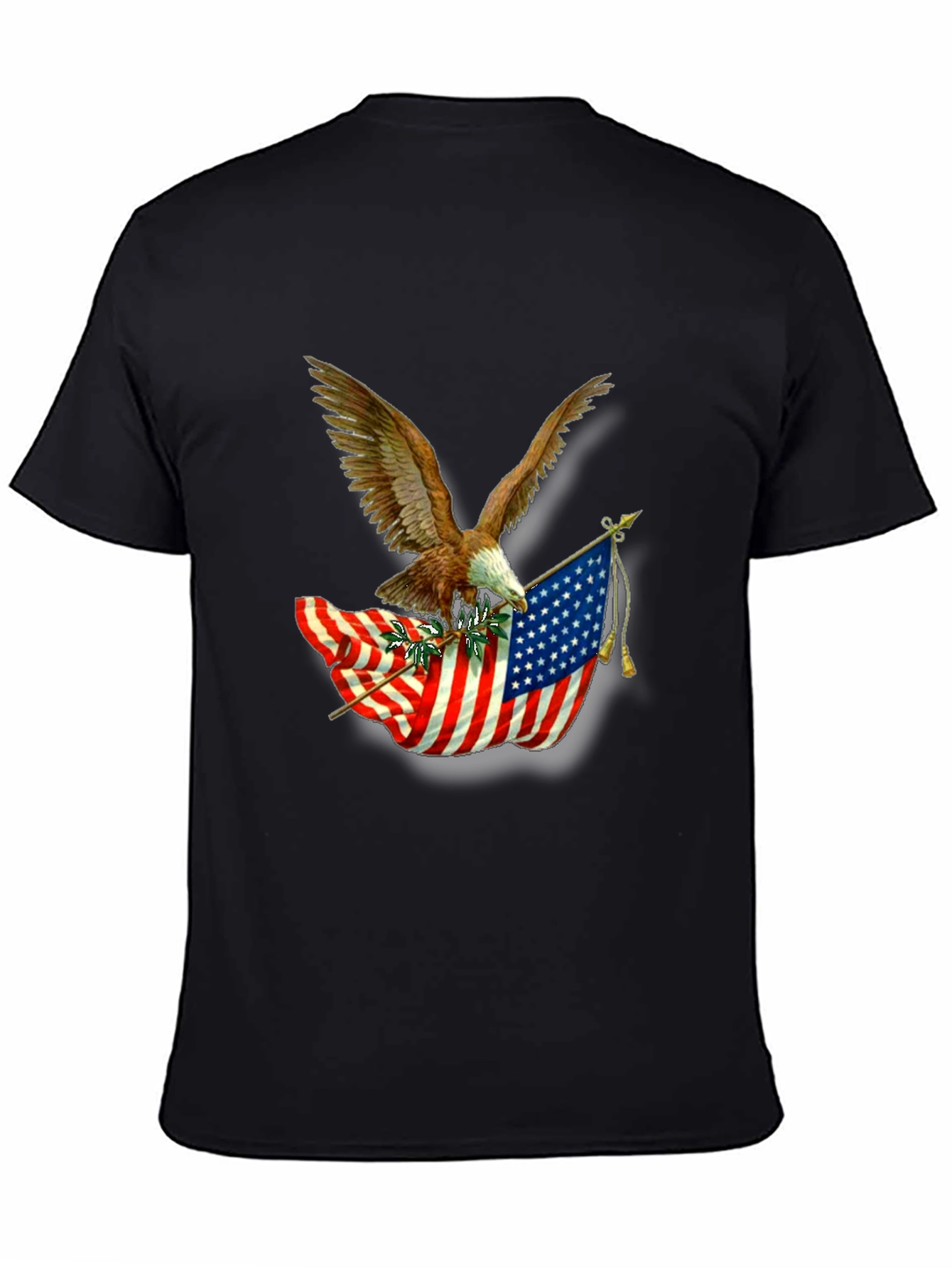 American Pride Eagle & Flag Graphic T-Shirt