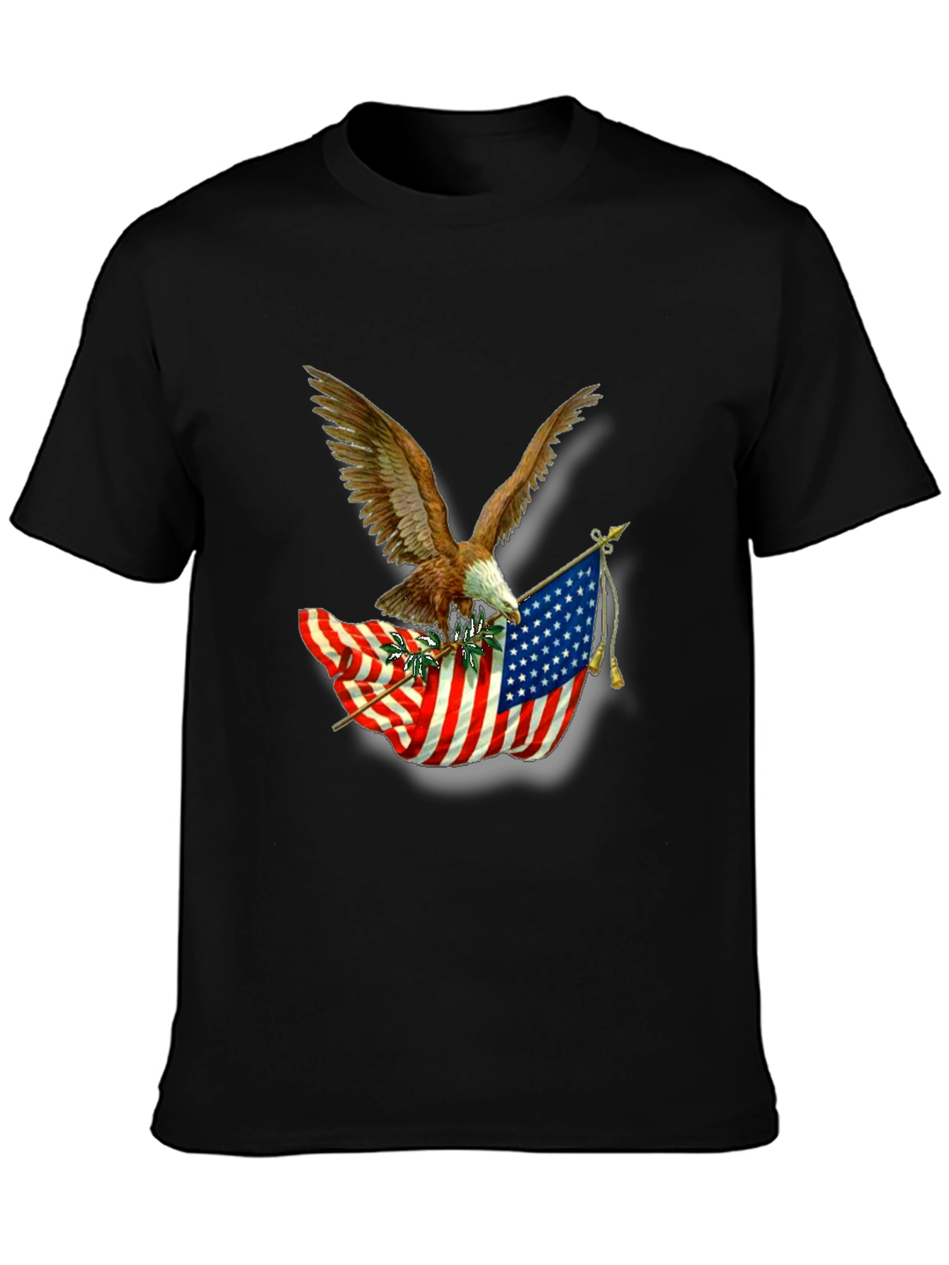 American Pride Eagle & Flag Graphic T-Shirt