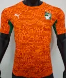 2026/27 Ivory Coast Home Orange Player Version Jersey Detail 2