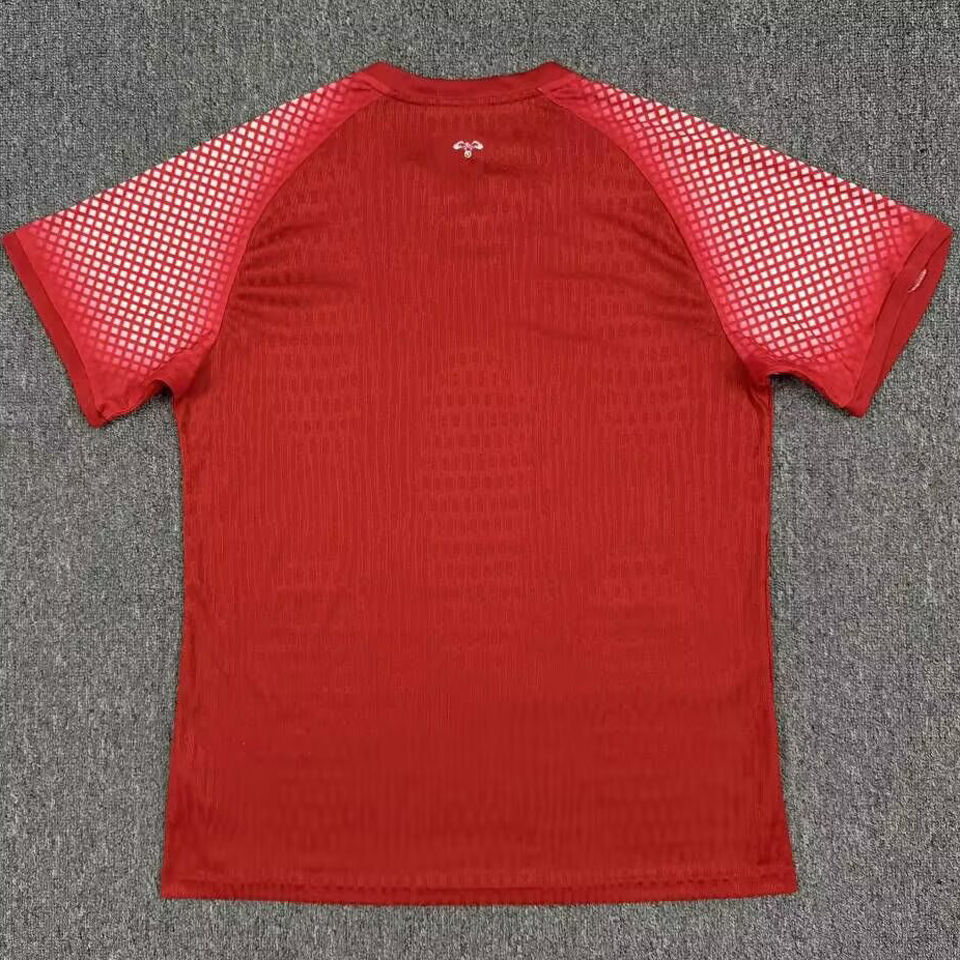 2026/27 Jordan Away Red Player Version Soccer Jersey Item NO.: 2153919 Detail 2