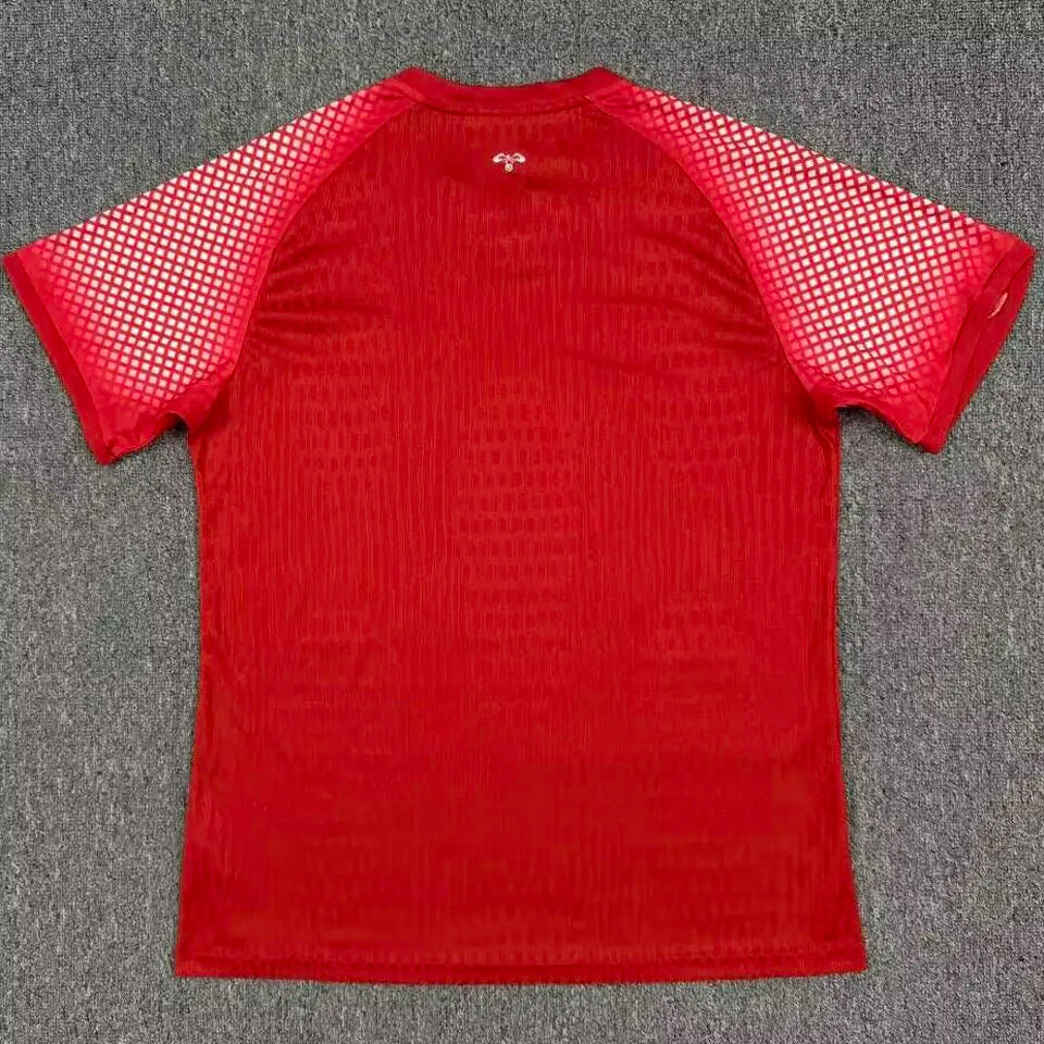 2026/27 Jordan Away Red Player Version Soccer Jersey Detail 2