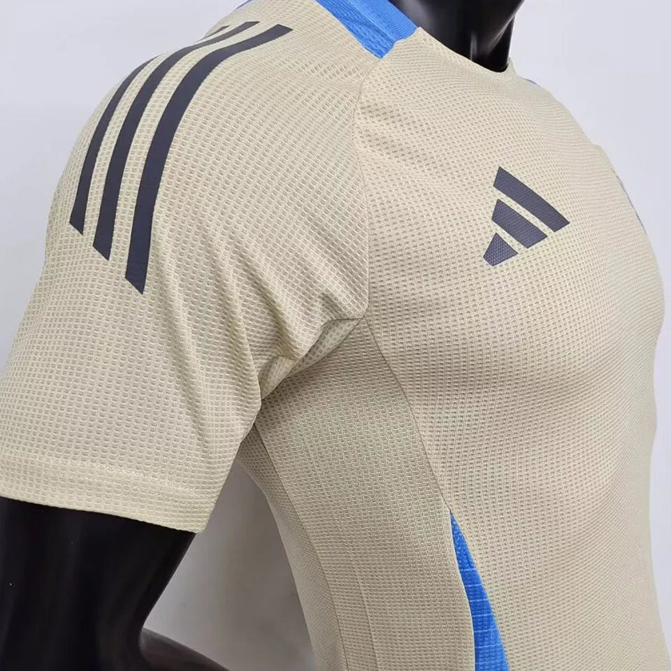 2024/25 Argentina Player Version Soccer Jersey Detail 2