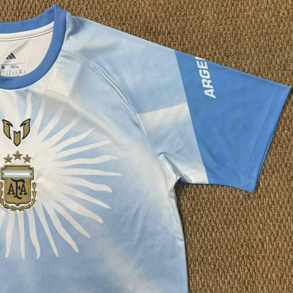 2026/27 Argentina Special Edition Fans Soccer Jersey Item NO.: 2152703 Detail 2