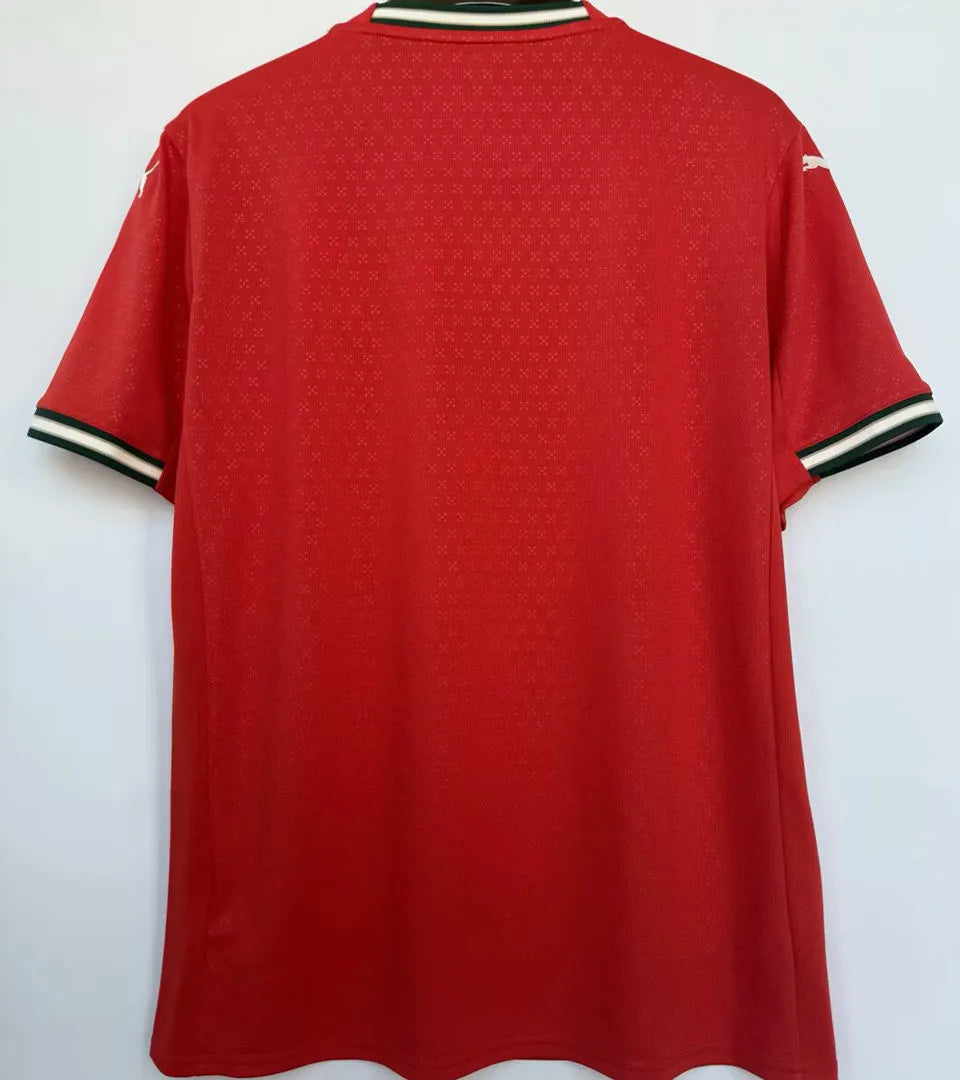 2025/26 Portugal Home 1:1 Quality Red Fans Soccer Jersey Back