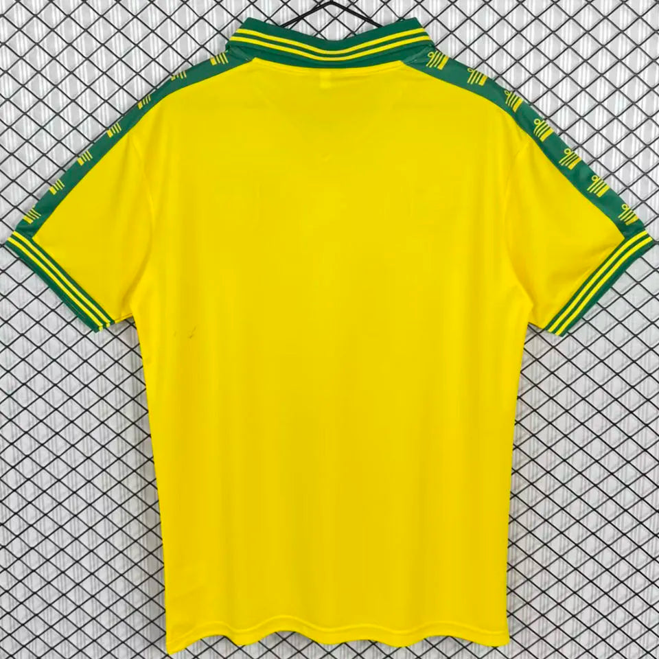 1976/1981 Norwich Home Yellow Retro Soccer Jersey Back