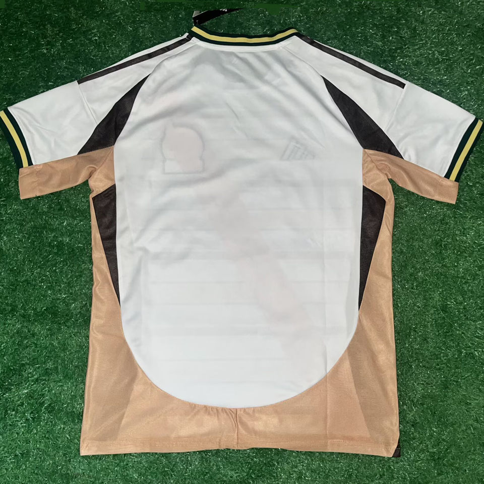 2026/27 Mexico Special Edition Fans Soccer Jersey Item NO.: 2153281 Back