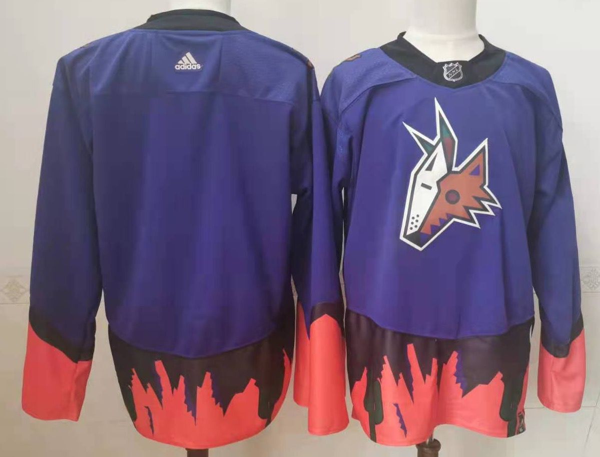 Men's Arizona Coyotes Blue Blank Player Jerseys