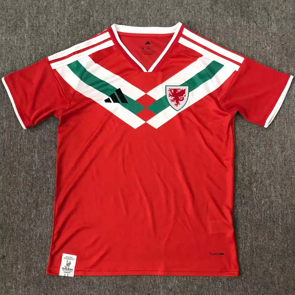 2026/27 Wales Special Edition Fans Soccer Jersey Front