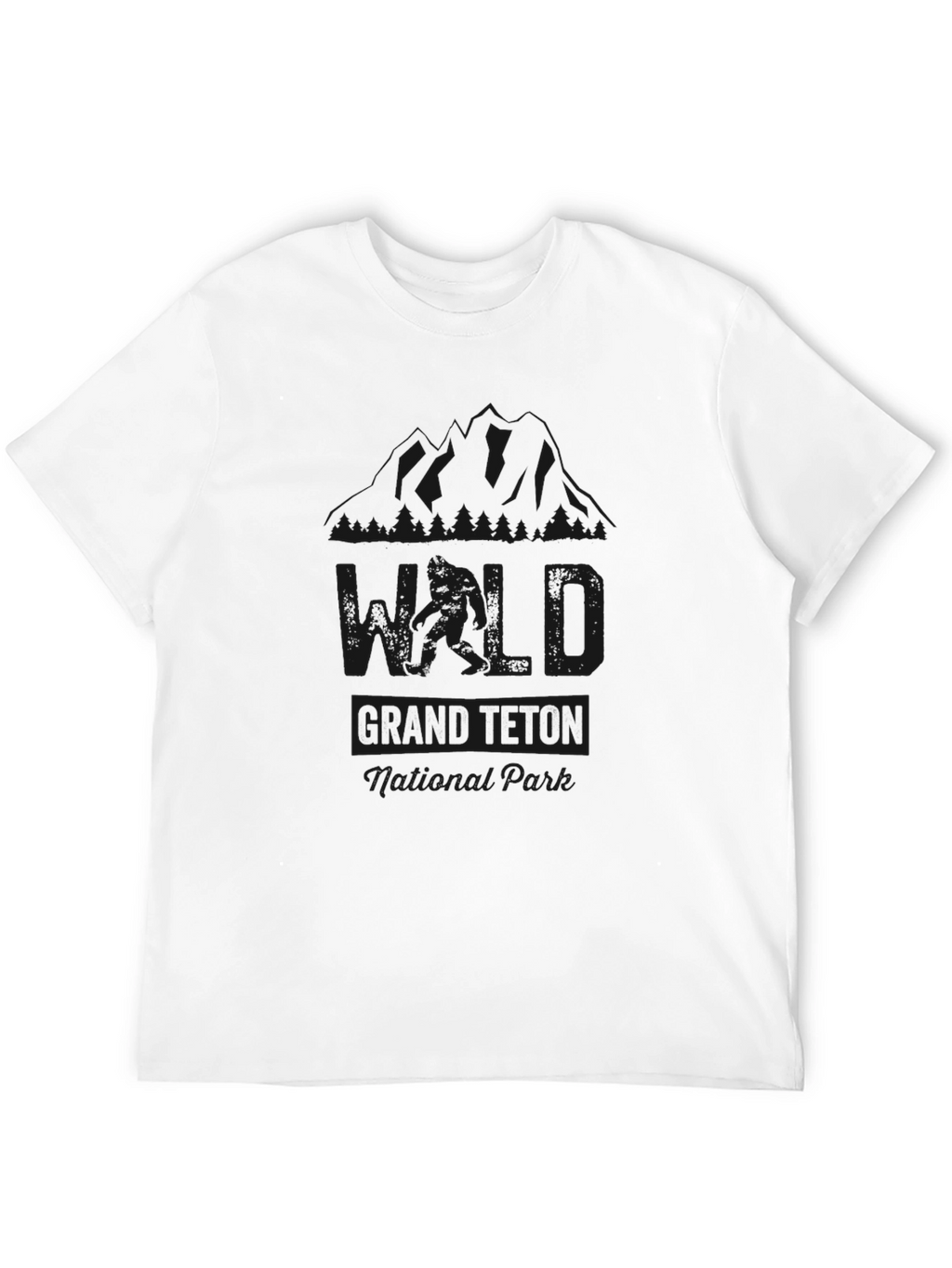 Grand Teton National Park Black T-Shirt