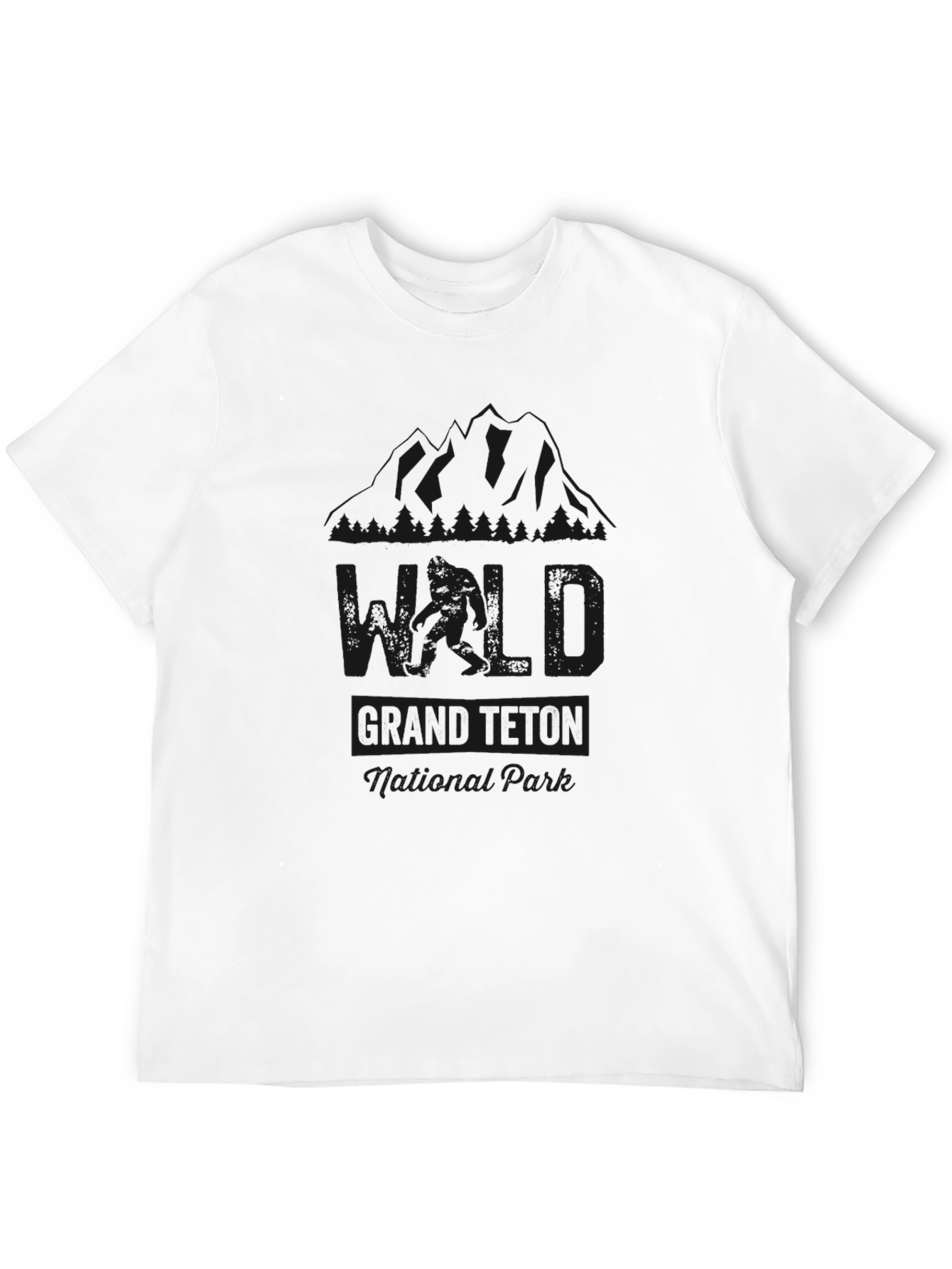 Grand Teton National Park Black T-Shirt