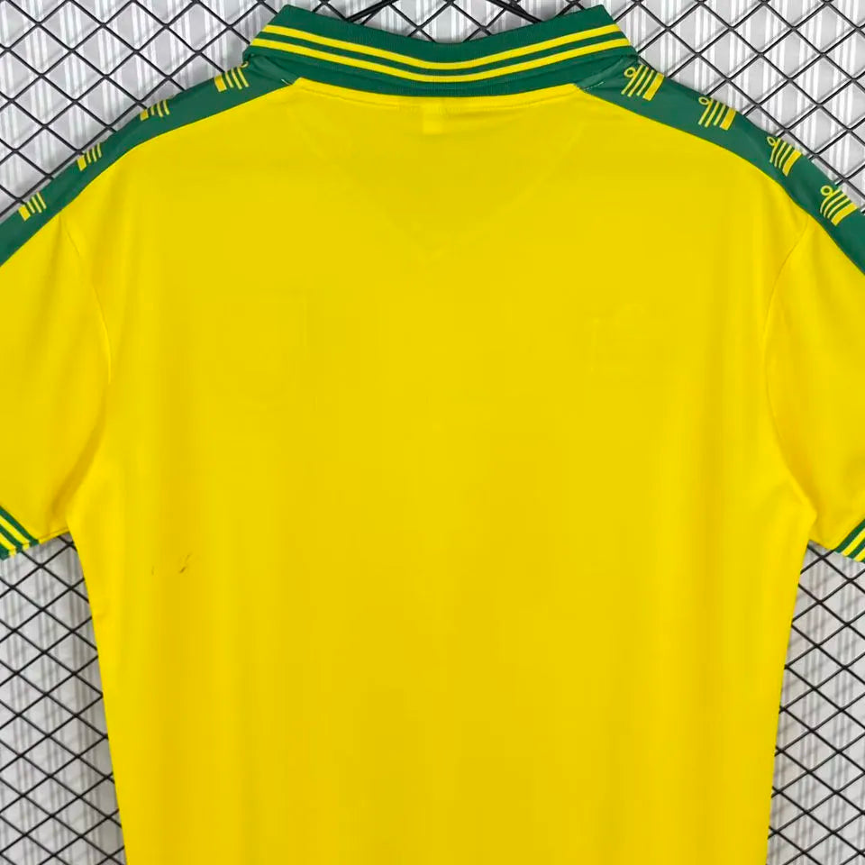 1976/1981 Norwich Home Yellow Retro Soccer Jersey Detail 2