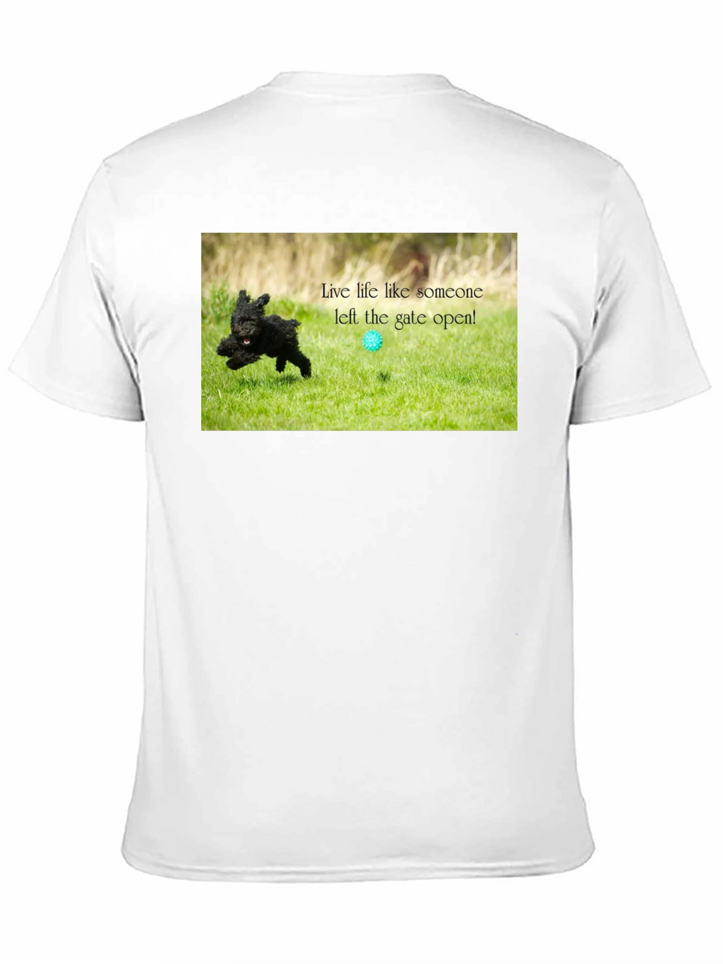 Live Life Like Someone Left the Gate Open T-Shirt