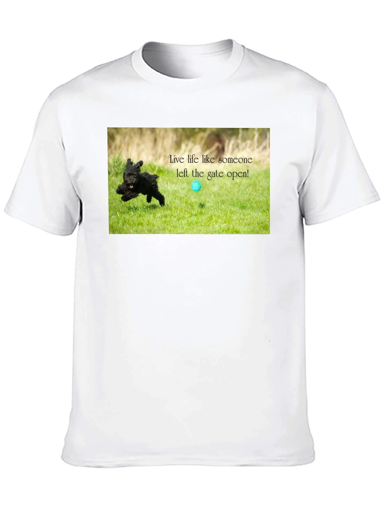 Live Life Like Someone Left the Gate Open T-Shirt