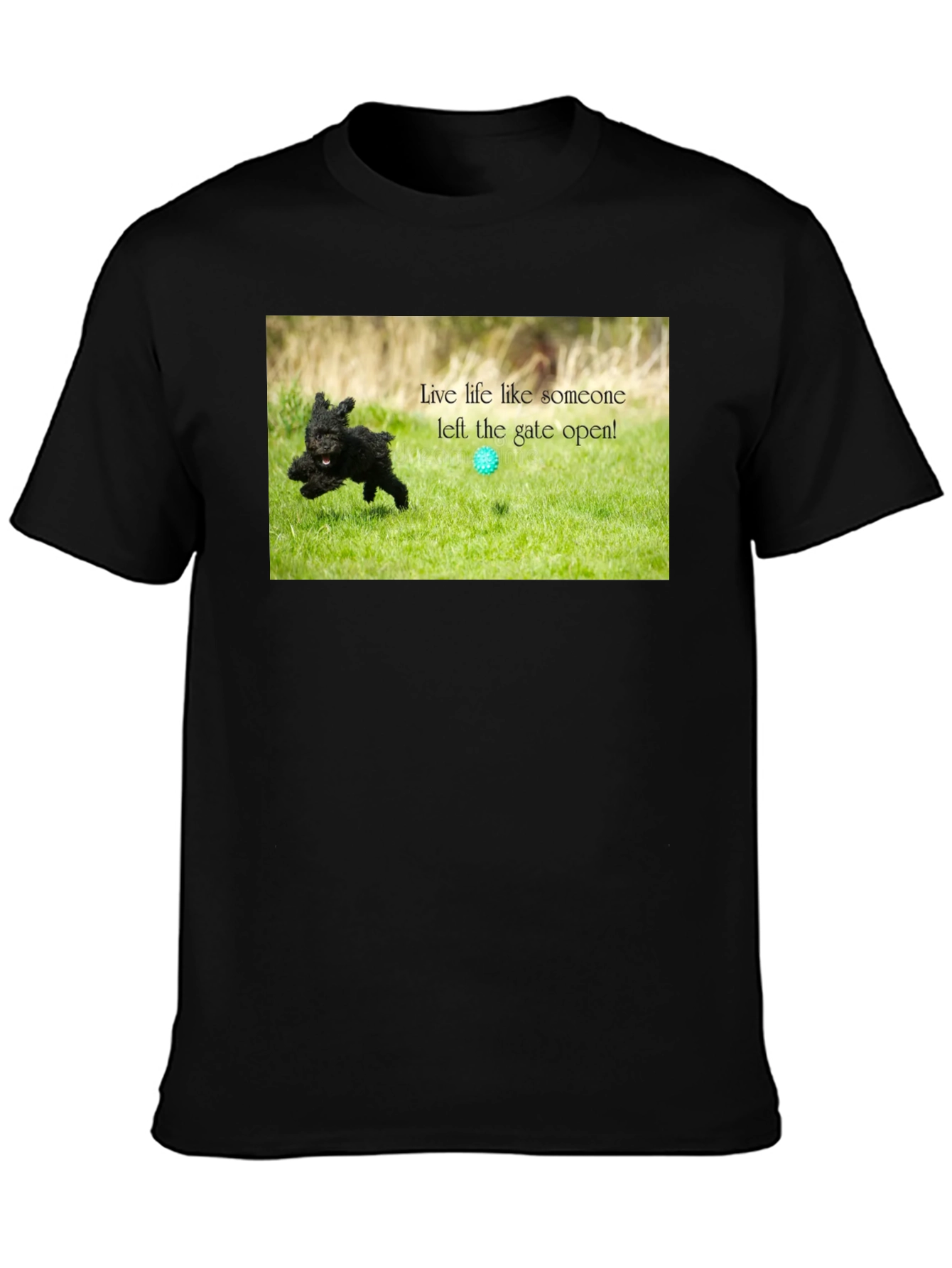 Live Life Like Someone Left the Gate Open T-Shirt
