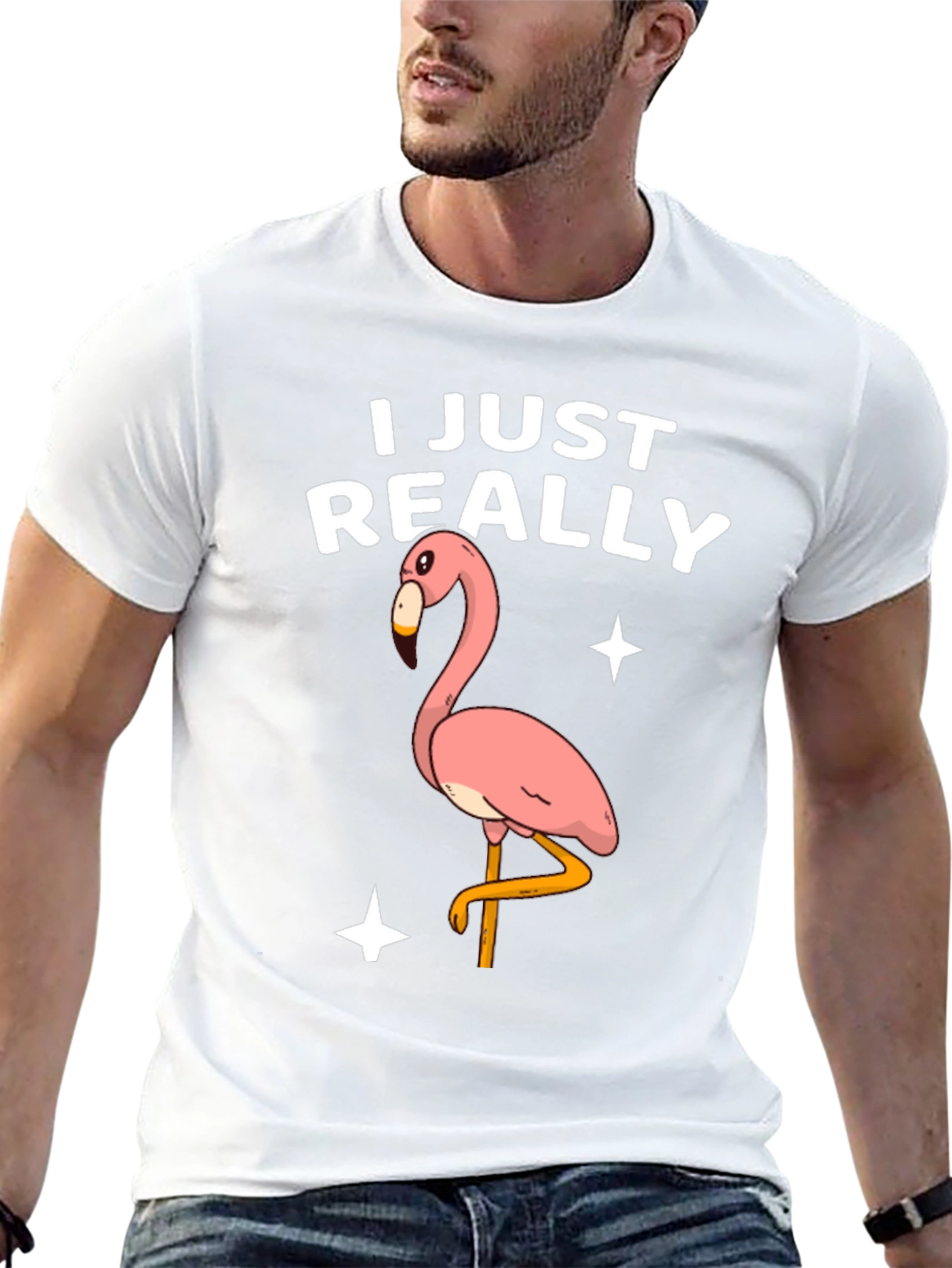 Funny Flamingo T-Shirt - I Just Really Like Flamingos