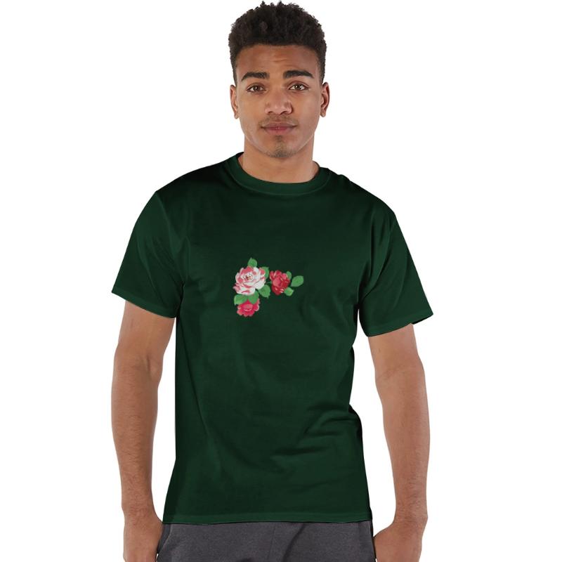 Hibiscus Garden Plant Botanical Flower